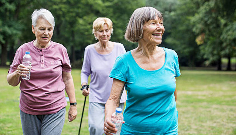 Guided walking tours and bus excursions for seniors with health concerns