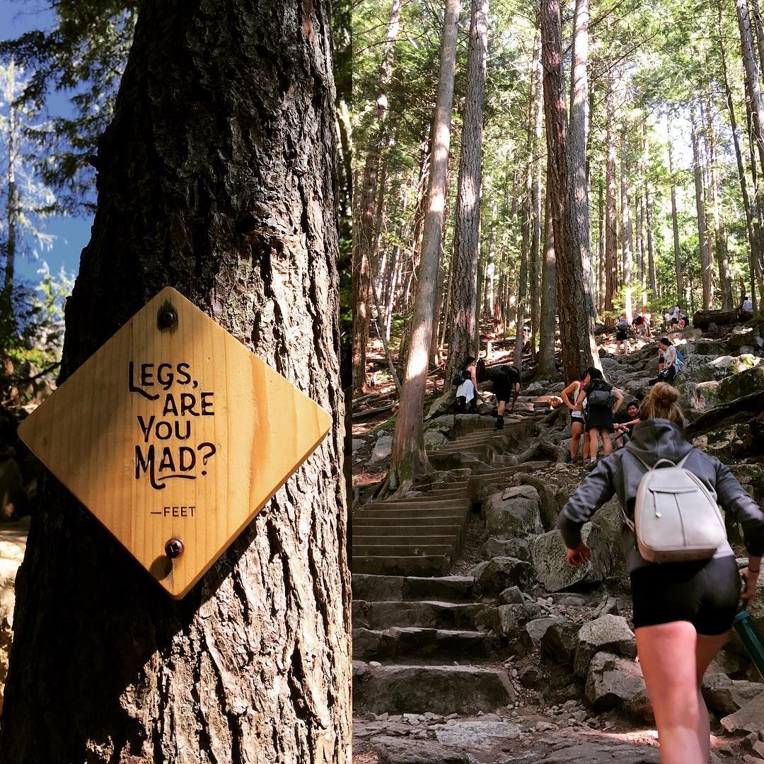 Popular easy trails in Vancouver with stunning views