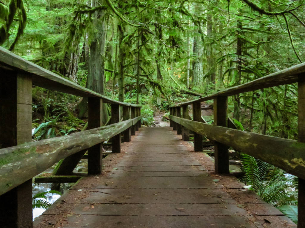 Beautiful winter hikes near Vancouver with snowshoeing options