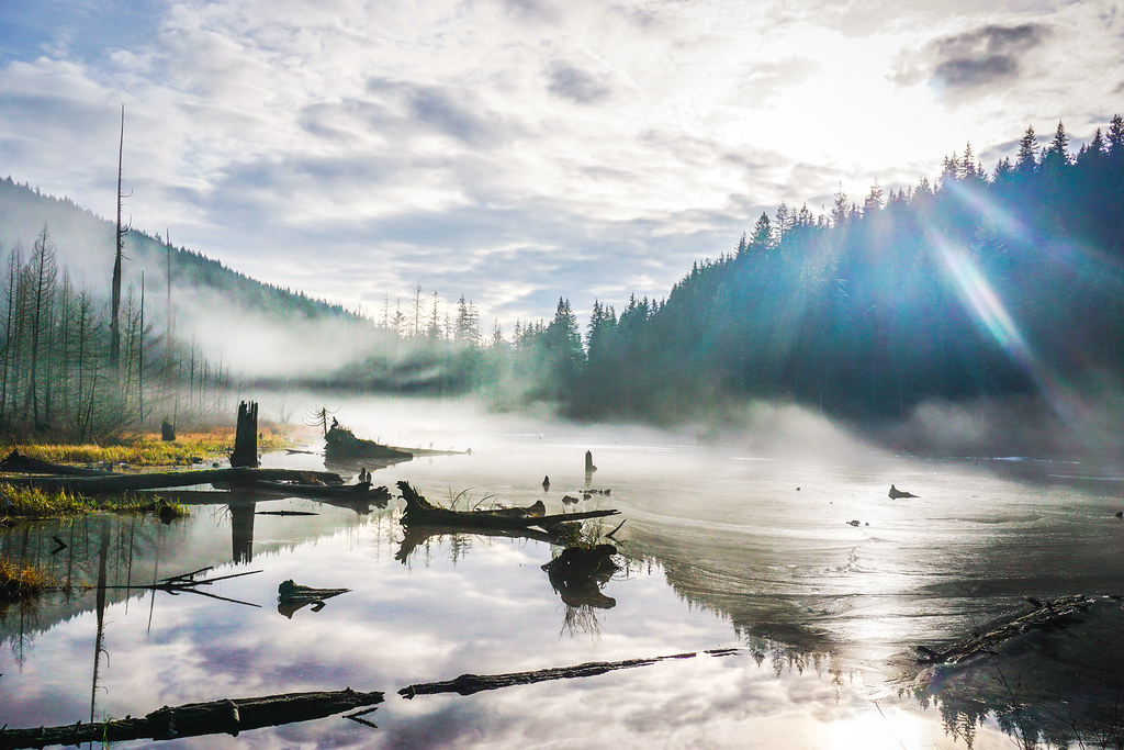 Hikes falls chill norvan Short beginner-friendly hikes around Vancouver