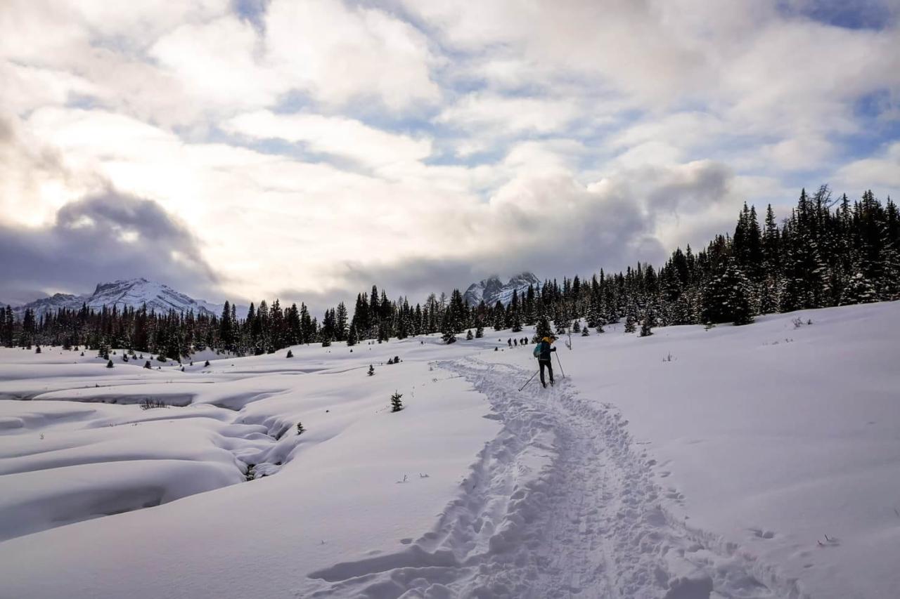 Chester canmore hikes travelwiththesmile Easy winter hikes in the Canmore mountains