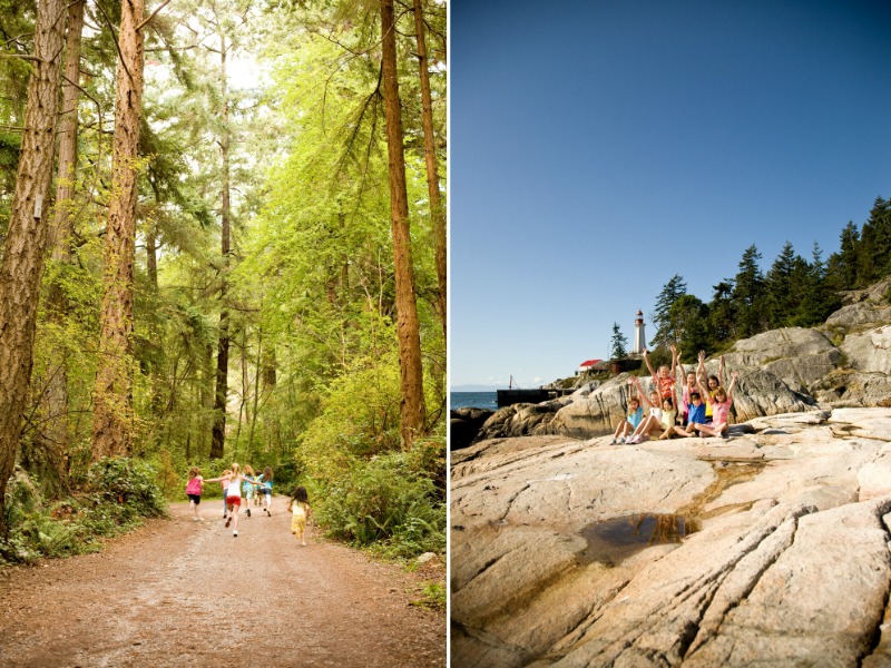 Hikes yew cypress awesome Hikes yew cypress awesome