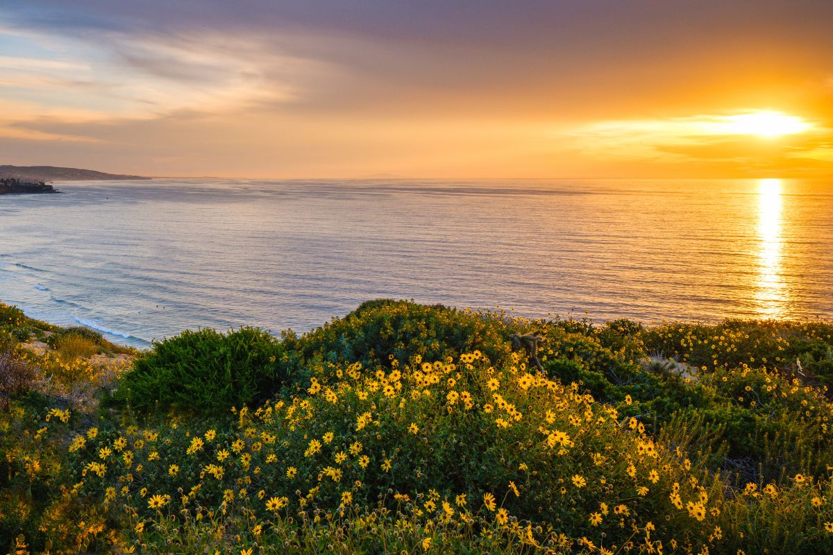 Toquart Bay camping guide for couples