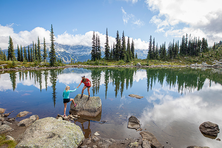 Whistler Whistler