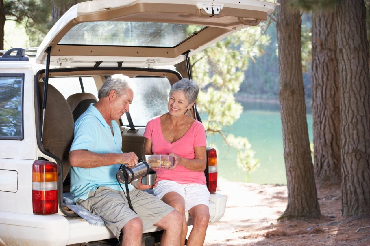 Reviews of senior-friendly hotels and transportation for road trips