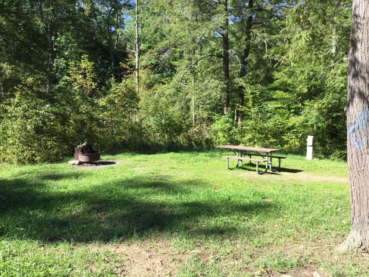 Kwaksistah Regional Park campsite reservations