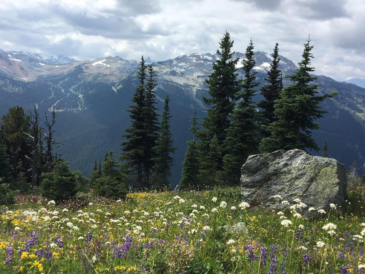 Whistler hike