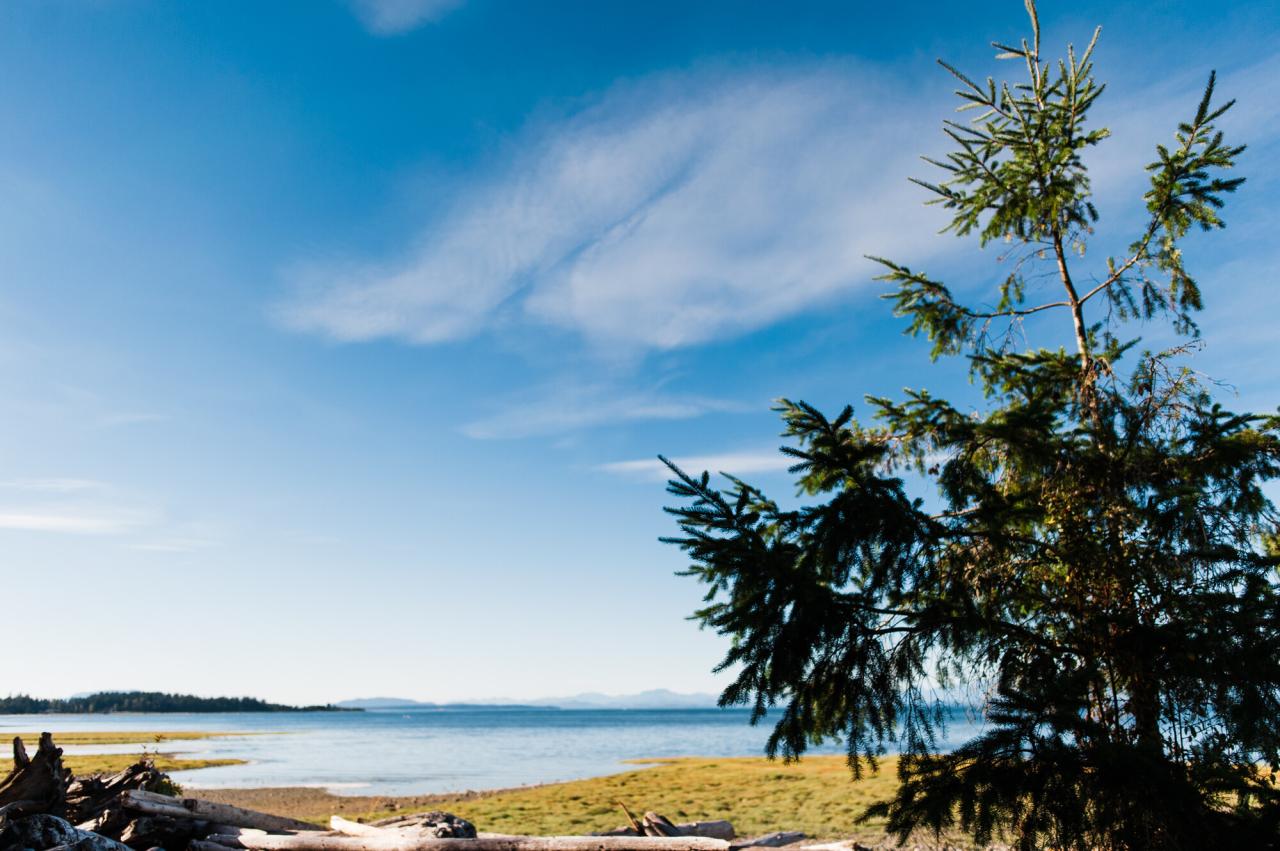 Miracle beach provincial park